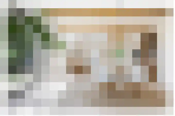 Braakmanssteeg 8 Bathmen thumbnail 10