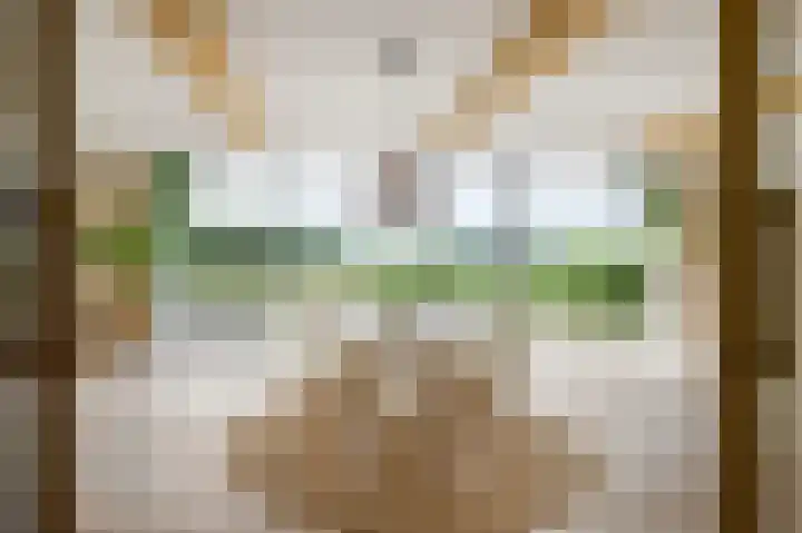 Braakmanssteeg 8 Bathmen thumbnail 12