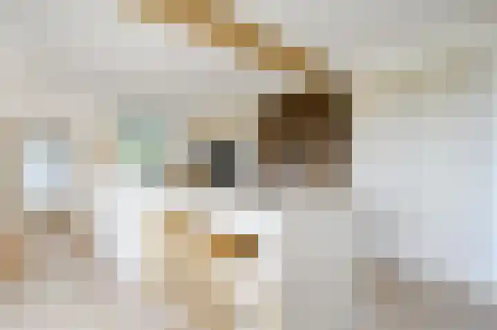 Braakmanssteeg 8 Bathmen thumbnail 14
