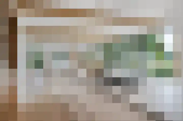 Braakmanssteeg 8 Bathmen thumbnail 17