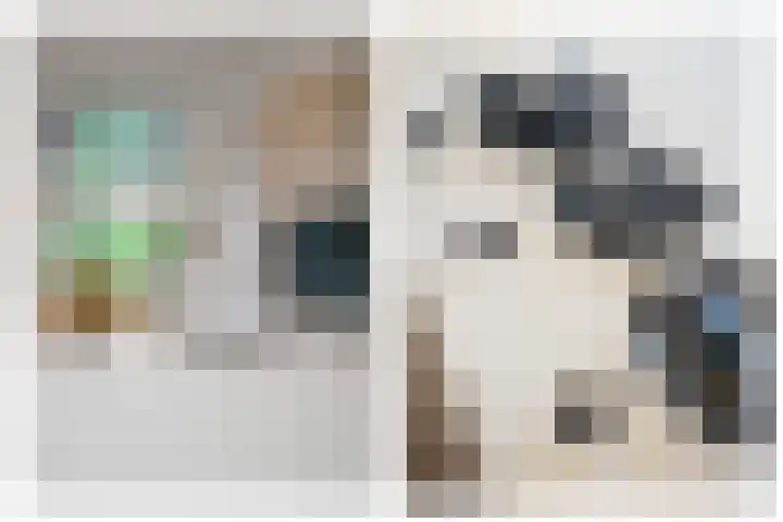 Braakmanssteeg 8 Bathmen thumbnail 18
