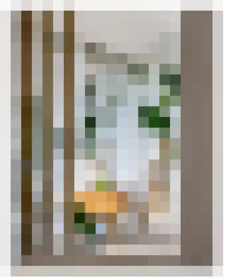 Braakmanssteeg 8 Bathmen thumbnail 19