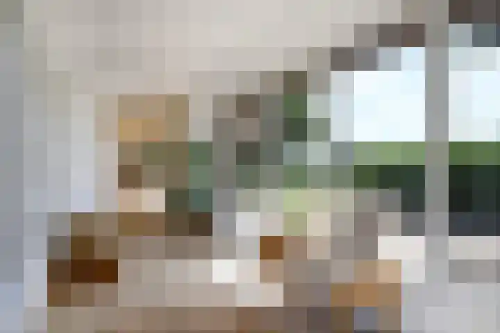 Braakmanssteeg 8 Bathmen thumbnail 20