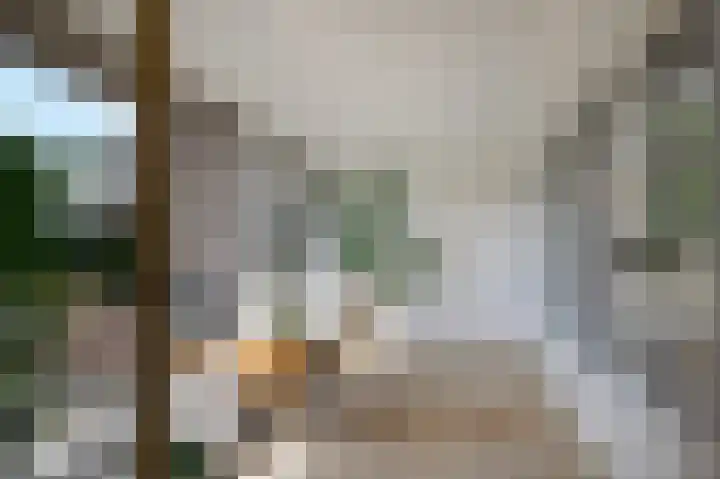 Braakmanssteeg 8 Bathmen thumbnail 21