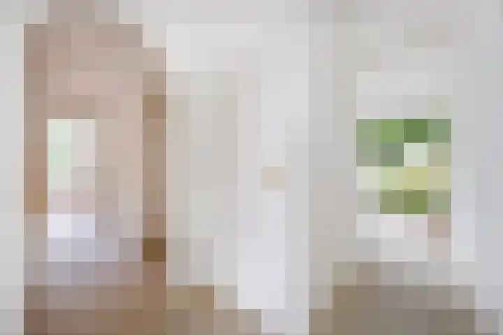 Braakmanssteeg 8 Bathmen thumbnail 22