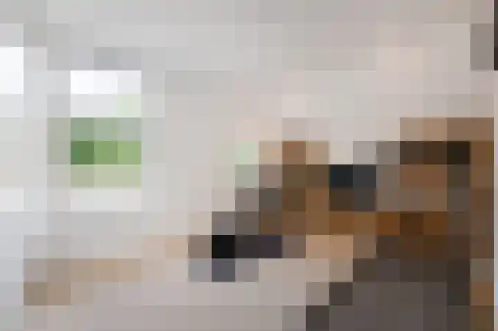 Braakmanssteeg 8 Bathmen thumbnail 23