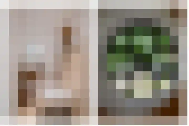 Braakmanssteeg 8 Bathmen thumbnail 25