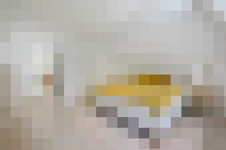 Braakmanssteeg 8 Bathmen thumbnail 27