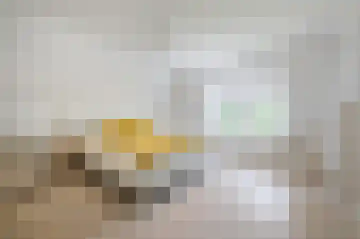 Braakmanssteeg 8 Bathmen thumbnail 28