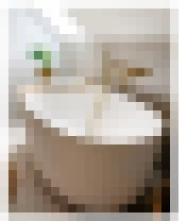 Braakmanssteeg 8 Bathmen thumbnail 31