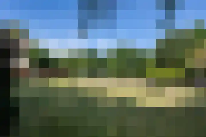 Braakmanssteeg 8 Bathmen thumbnail 37