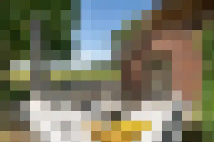 Braakmanssteeg 8 Bathmen thumbnail 41