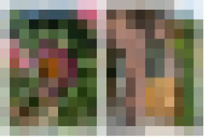 Braakmanssteeg 8 Bathmen thumbnail 42
