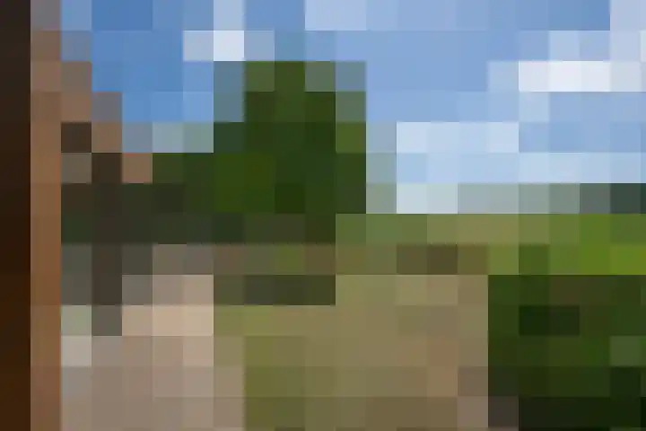 Braakmanssteeg 8 Bathmen thumbnail 43