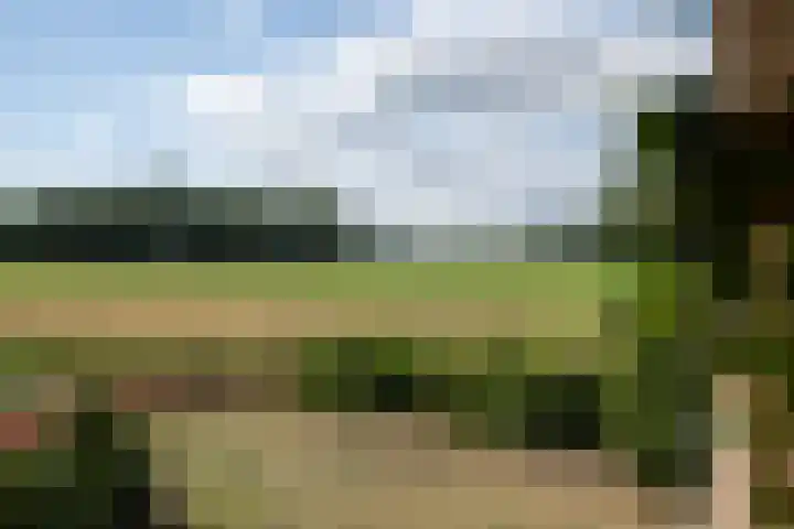 Braakmanssteeg 8 Bathmen thumbnail 45