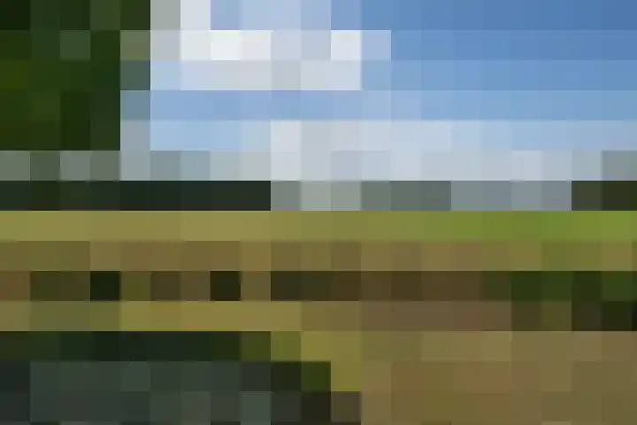 Braakmanssteeg 8 Bathmen thumbnail 46