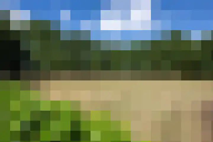 Braakmanssteeg 8 Bathmen thumbnail 47