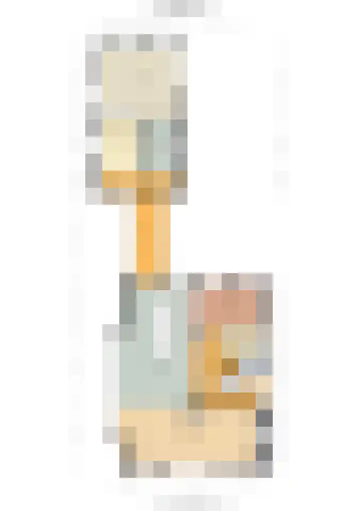 Braakmanssteeg 8 Bathmen thumbnail 50