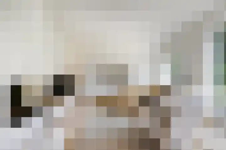 Braakmanssteeg 8 Bathmen thumbnail 6