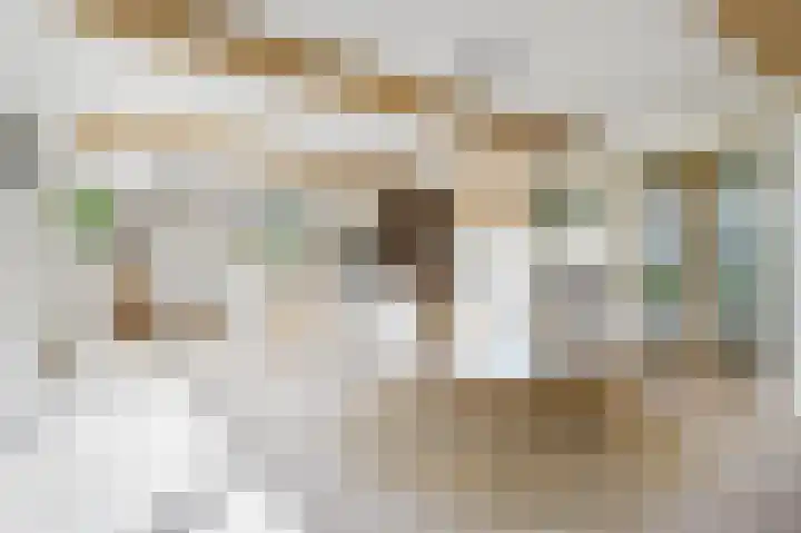 Braakmanssteeg 8 Bathmen thumbnail 8