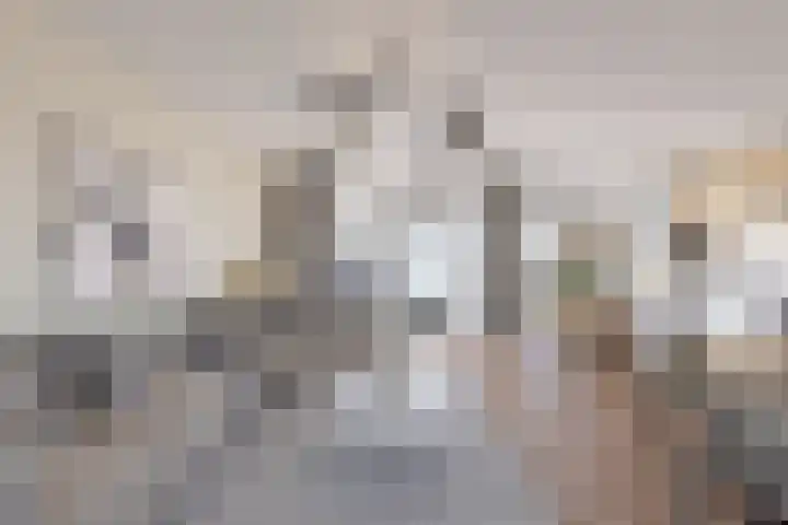 Braakmanstraat 12 Hansweert thumbnail 11