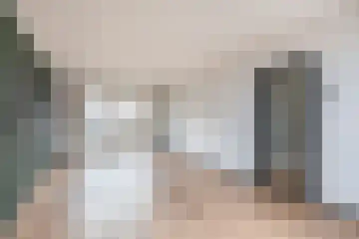 Braakmanstraat 12 Hansweert thumbnail 12