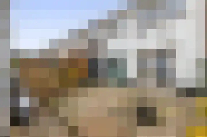 Braakmanstraat 12 Hansweert thumbnail 31