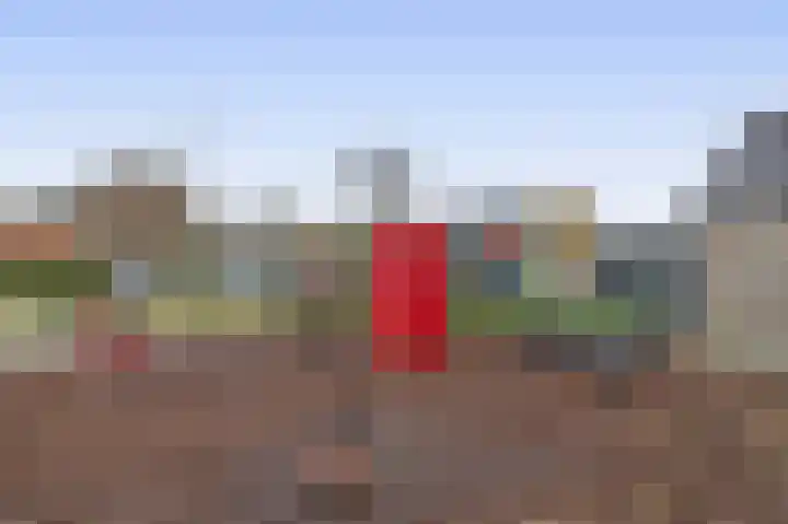 Braakmanstraat 12 Hansweert thumbnail 36