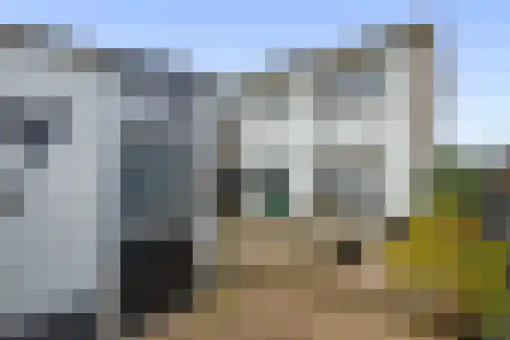 Braakmanstraat 12 Hansweert thumbnail 5