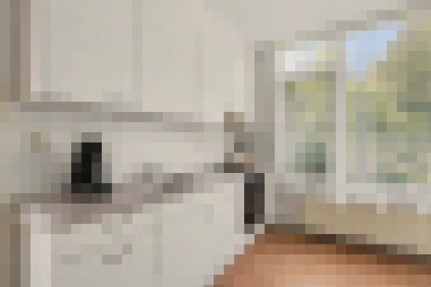 Braakmanstraat 51 Hansweert thumbnail 17