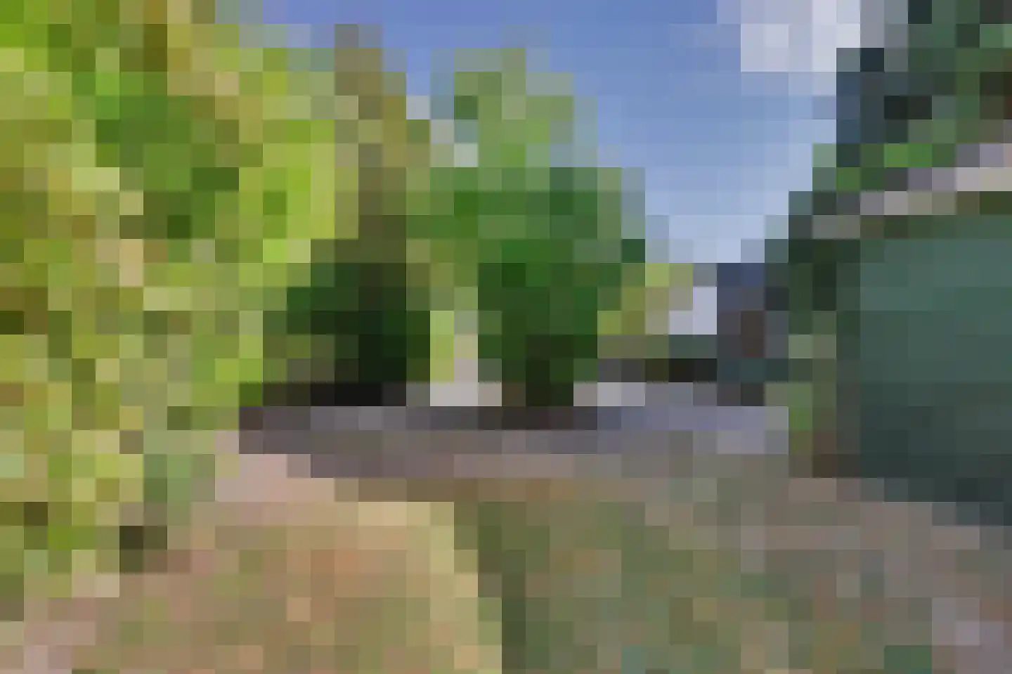Braakmanstraat 51 Hansweert thumbnail 4
