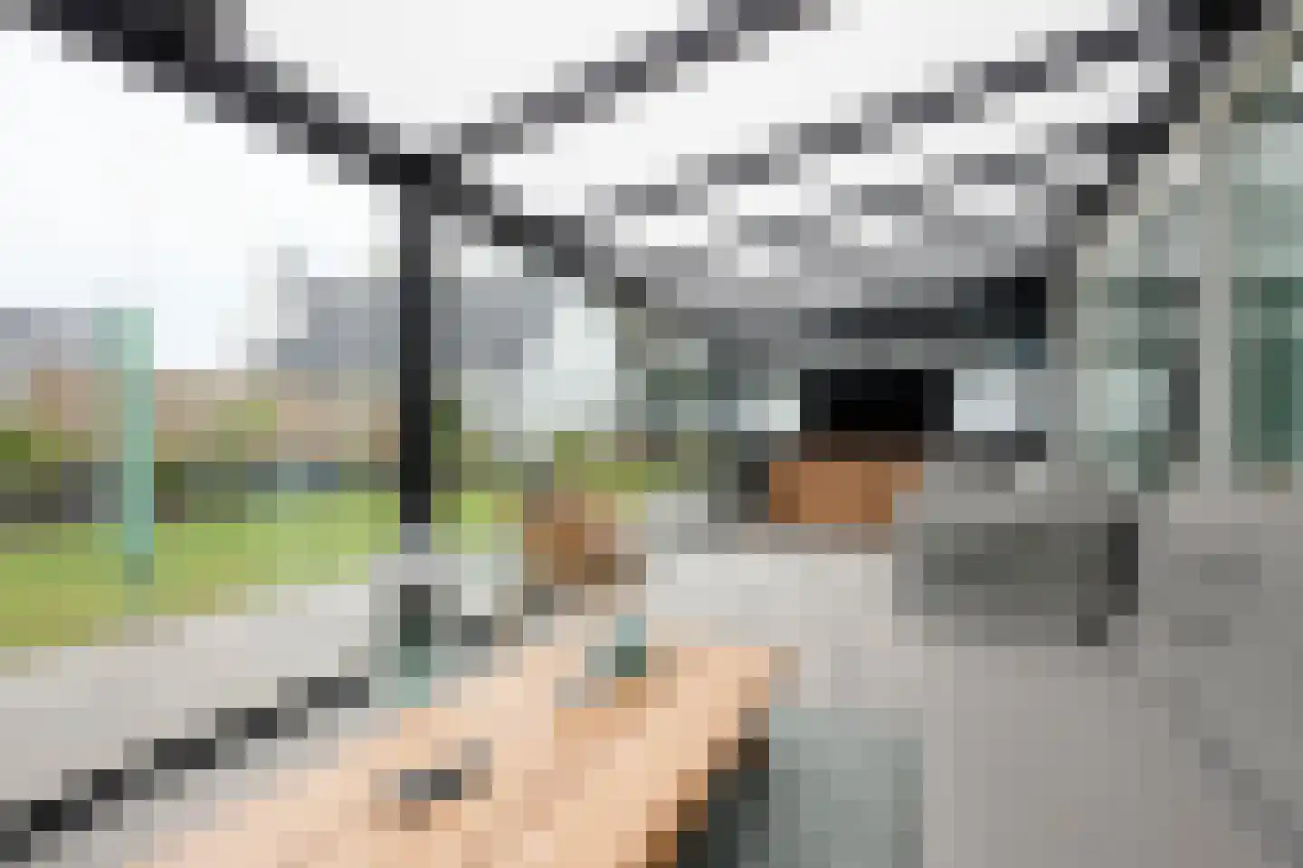 Braakmanweg 14 a Philippine thumbnail 4