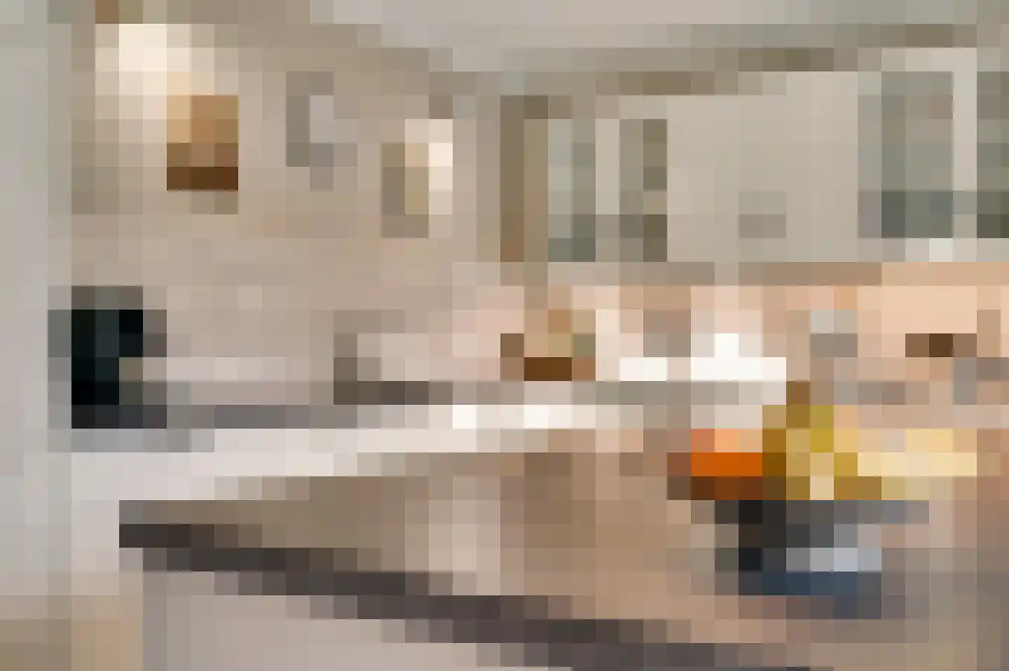 Braakpeel 5 Nederweert-Eind thumbnail 20