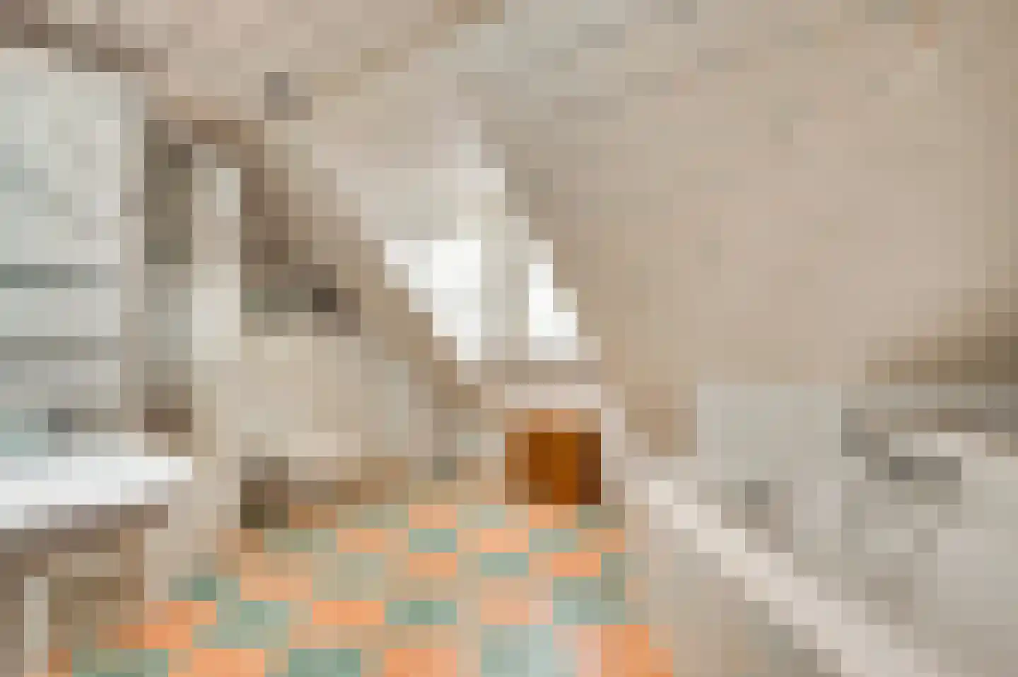 Braakpeel 5 Nederweert-Eind thumbnail 32