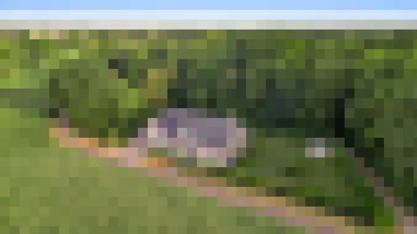 Braakpeel 5 Nederweert-Eind thumbnail 4