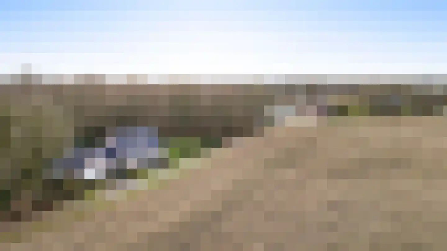Braakpeel 5 Nederweert-Eind thumbnail 44