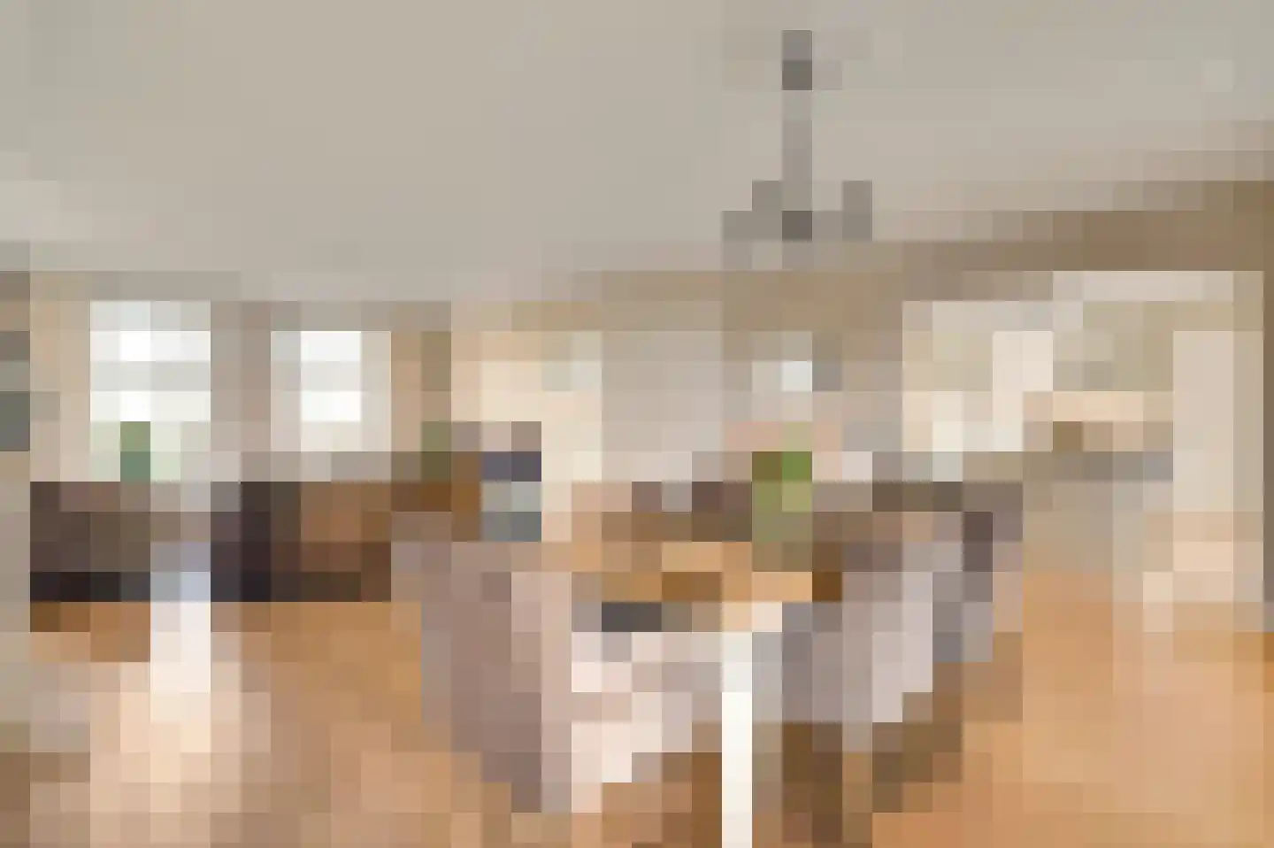 Braakpeel 5 Nederweert-Eind thumbnail 5