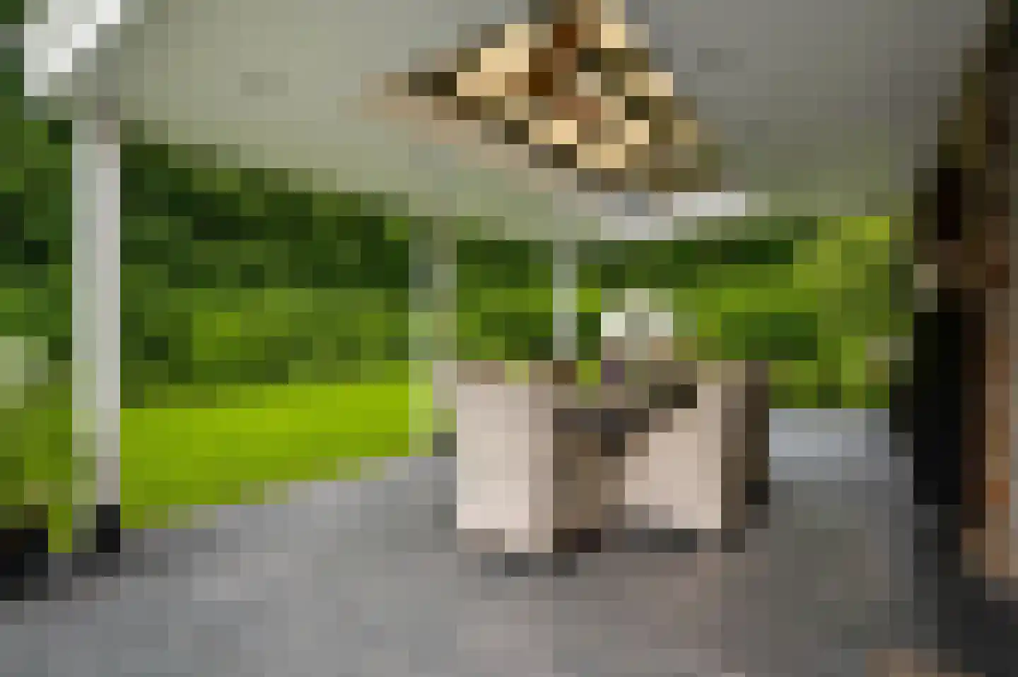 Braakpeel 5 Nederweert-Eind thumbnail 5