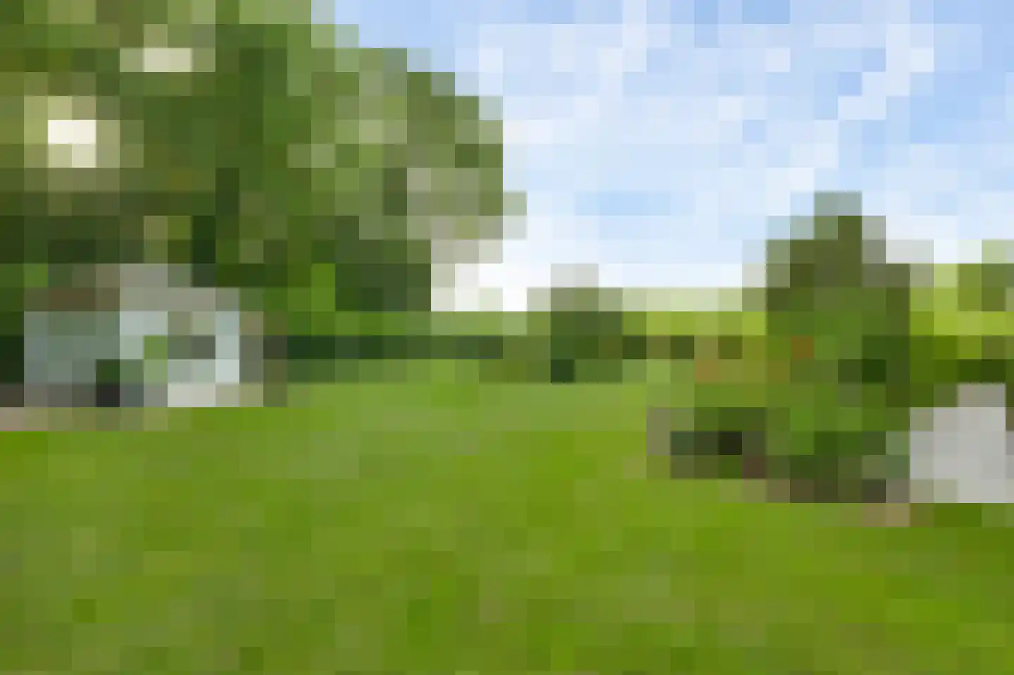 Braakpeel 5 Nederweert-Eind thumbnail 50