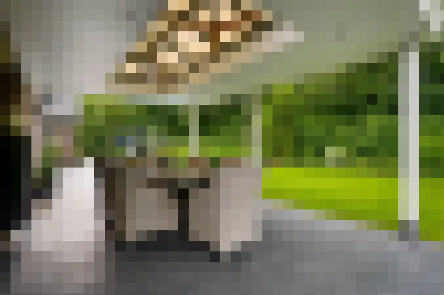 Braakpeel 5 Nederweert-Eind thumbnail 50