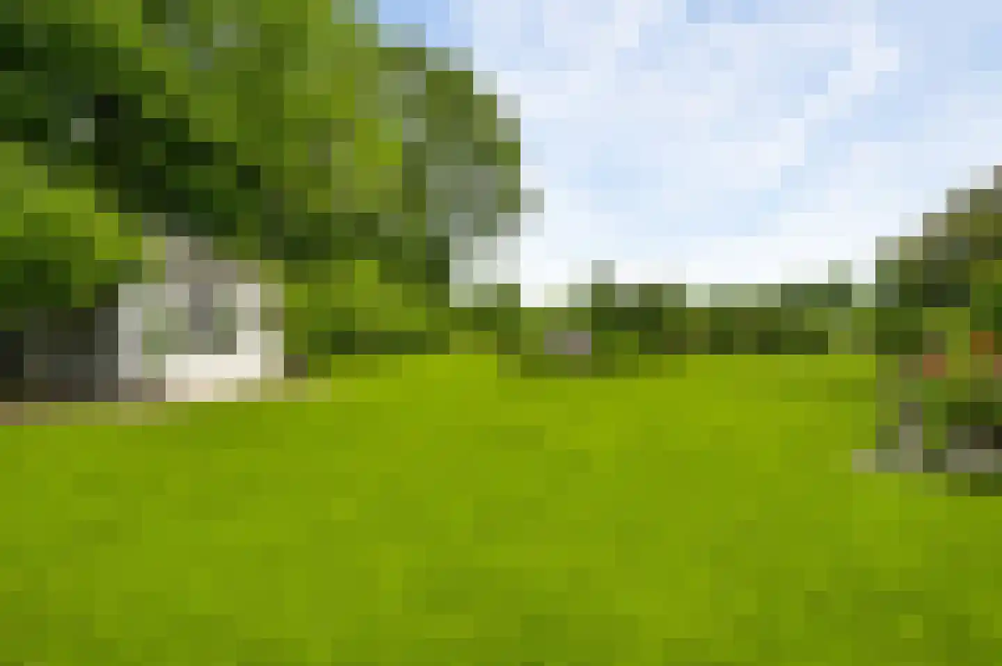 Braakpeel 5 Nederweert-Eind thumbnail 53