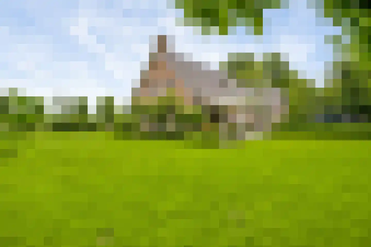 Braakpeel 5 Nederweert-Eind thumbnail 54