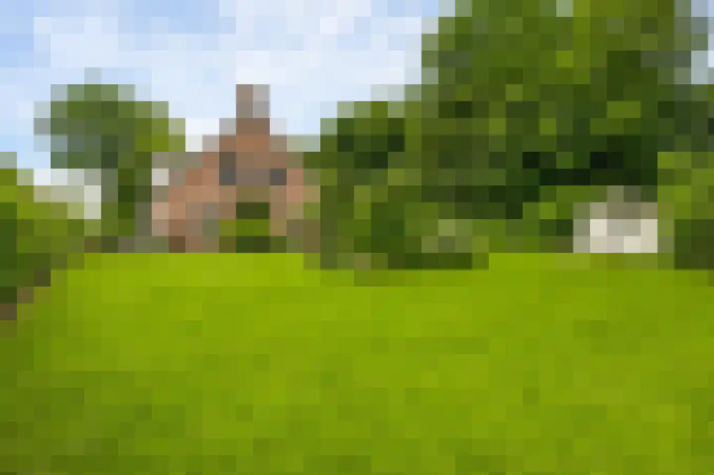 Braakpeel 5 Nederweert-Eind thumbnail 55