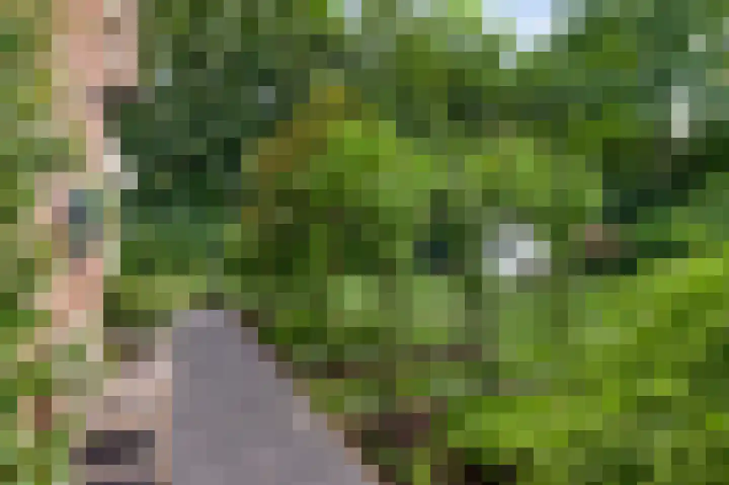 Braakpeel 5 Nederweert-Eind thumbnail 57