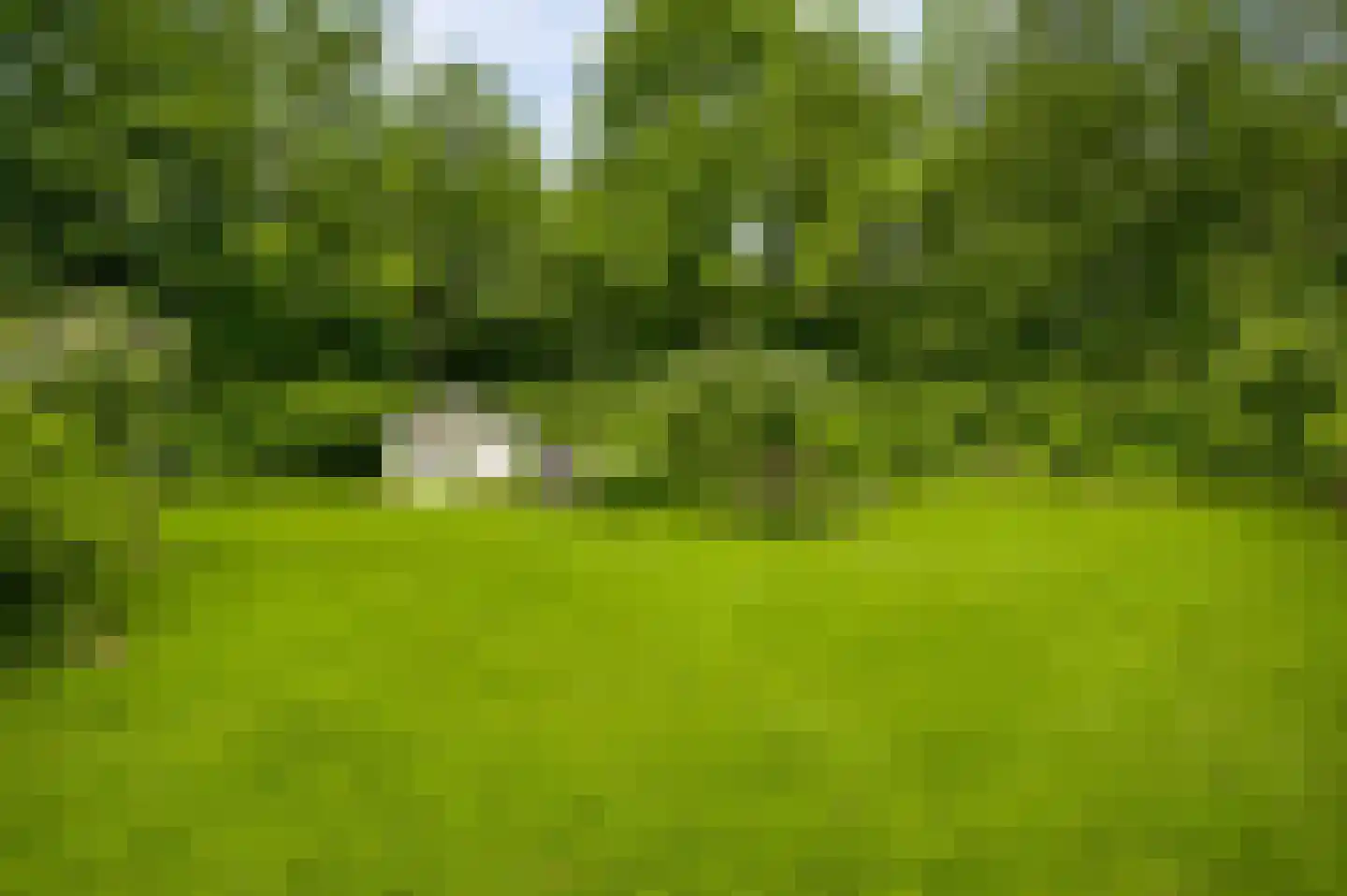Braakpeel 5 Nederweert-Eind thumbnail 58