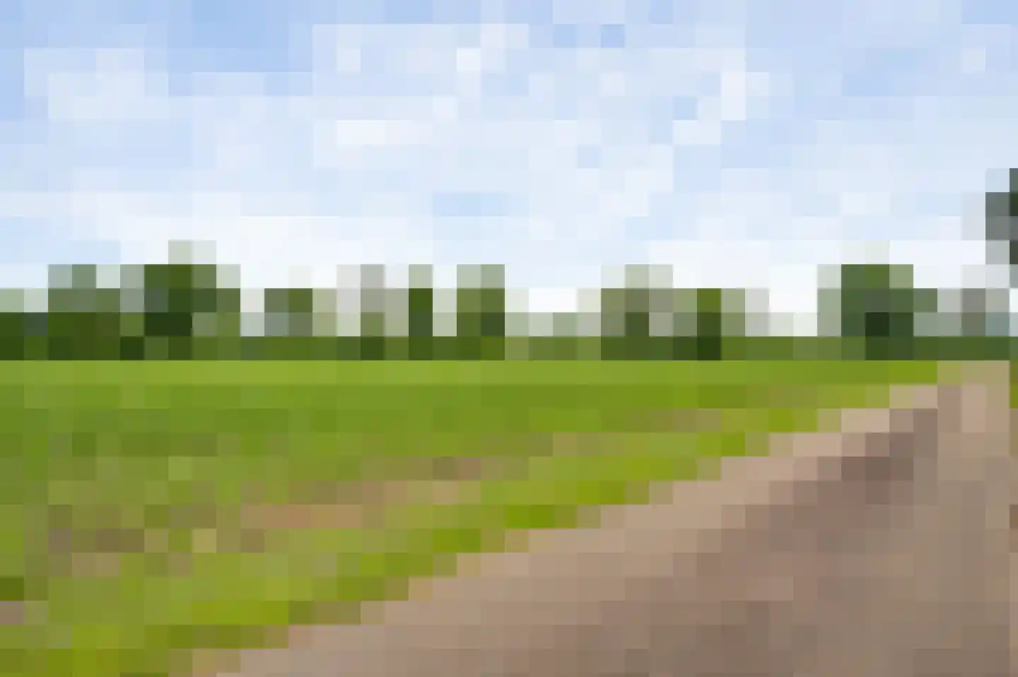Braakpeel 5 Nederweert-Eind thumbnail 60