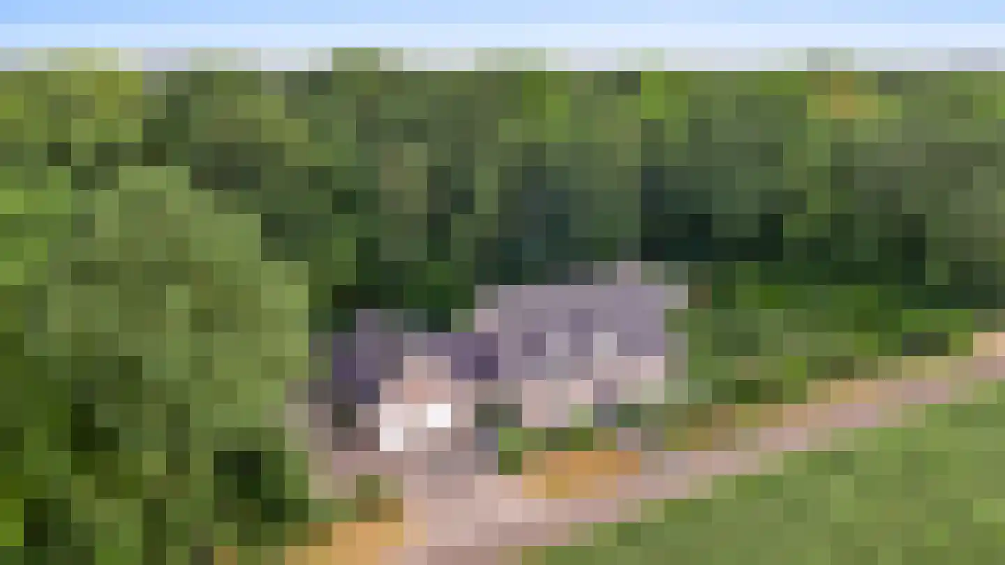 Braakpeel 5 Nederweert-Eind thumbnail 60