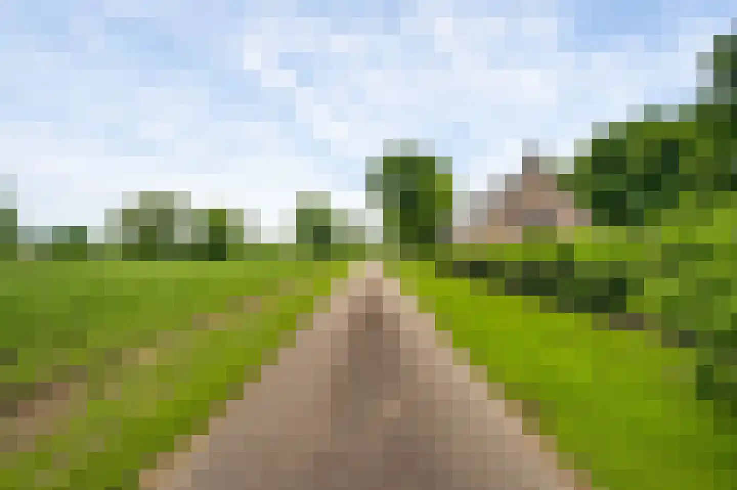 Braakpeel 5 Nederweert-Eind thumbnail 61