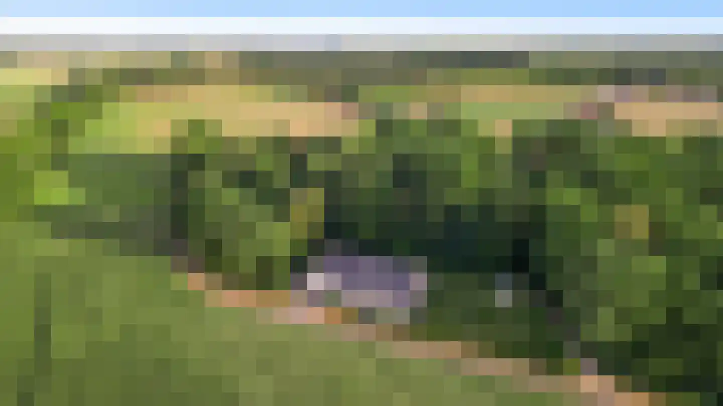 Braakpeel 5 Nederweert-Eind thumbnail 61