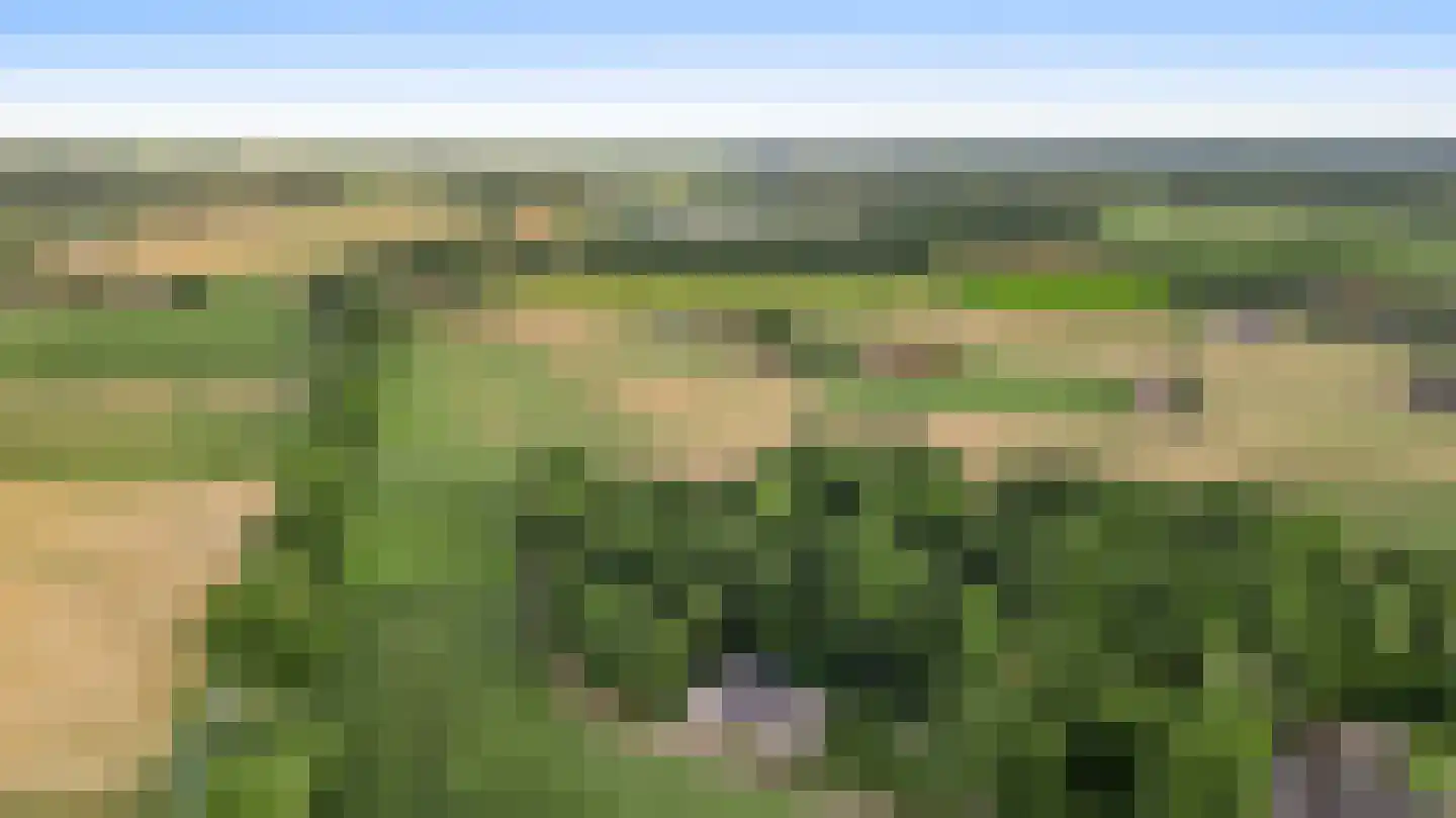 Braakpeel 5 Nederweert-Eind thumbnail 63